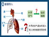 4.8.2 人體細(xì)胞獲得氧氣的過(guò)程（課時(shí)2）課件