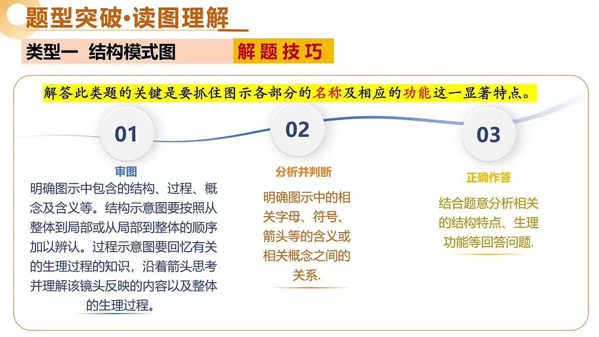 题型01 读图理解（二轮突破课件）2025年中考生物二轮复习讲练测（广东专用）第5页