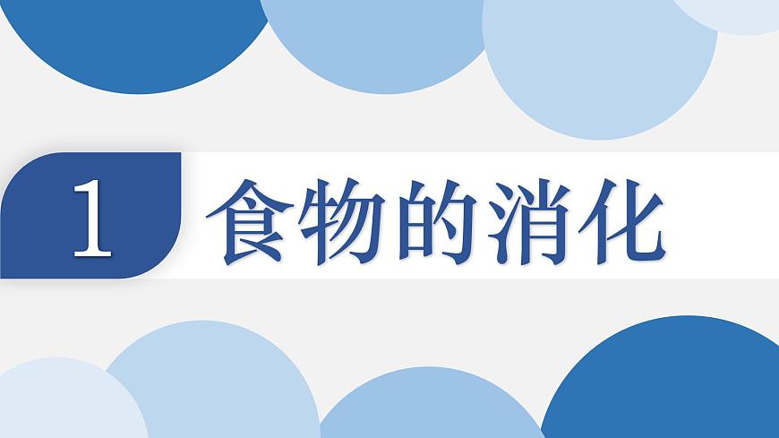 4.2.2 消化和吸收（上课课件） 2025学年七年级生物下册同步教学精美课件（人教版2024）第4页
