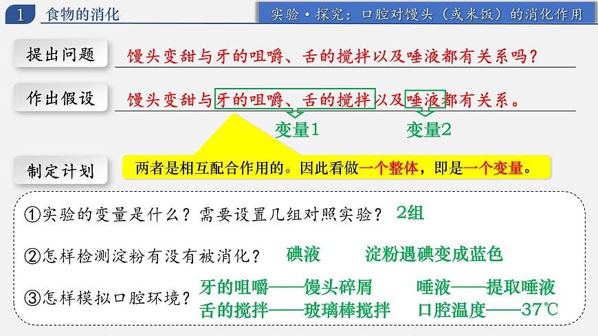 4.2.2 消化和吸收（上课课件） 2025学年七年级生物下册同步教学精美课件（人教版2024）第7页