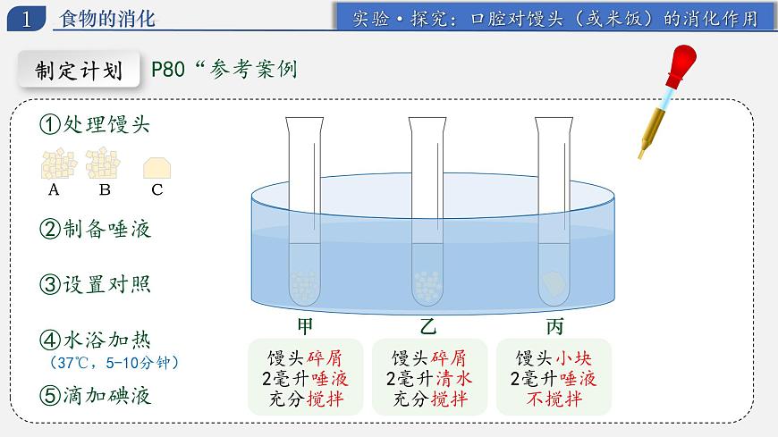4.2.2 消化和吸收（上课课件） 2025学年七年级生物下册同步教学精美课件（人教版2024）第8页