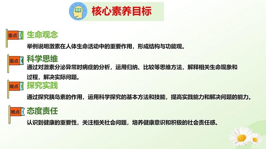 3.5.5 激素与生命活动调节 2025学年七年级生物下册 冀少版2024 课件第3页