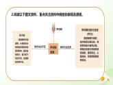 3.5.5 激素與生命活動調(diào)節(jié) 2025學年七年級生物下冊 冀少版2024 課件