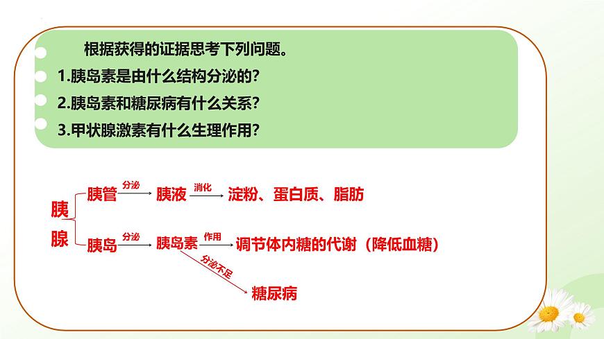 3.5.5 激素与生命活动调节 2025学年七年级生物下册 冀少版2024 课件第6页