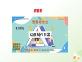 3.5.6 健康地度過青春期 2025學(xué)年七年級(jí)生物下冊(cè) 冀少版2024 課件