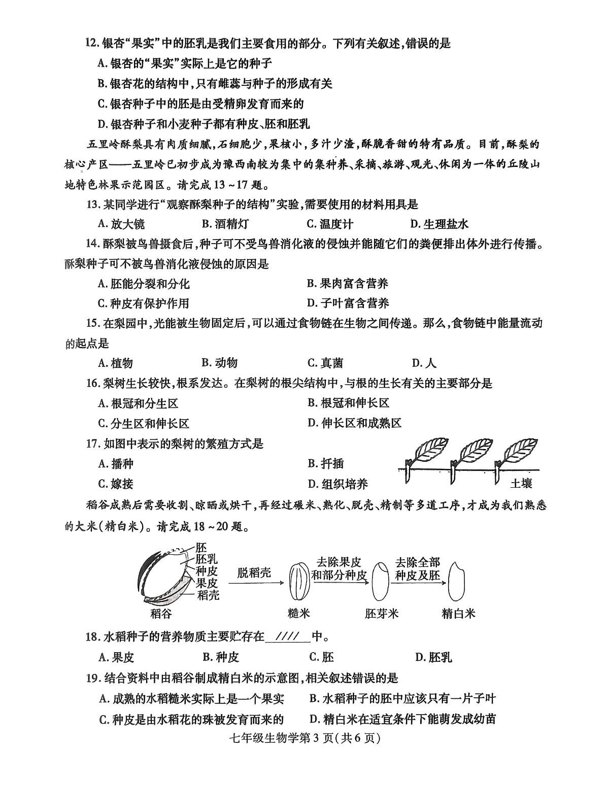 河南省平顶山市鲁山县2024-2025学年七年级下学期生物期中考试试卷+第3页