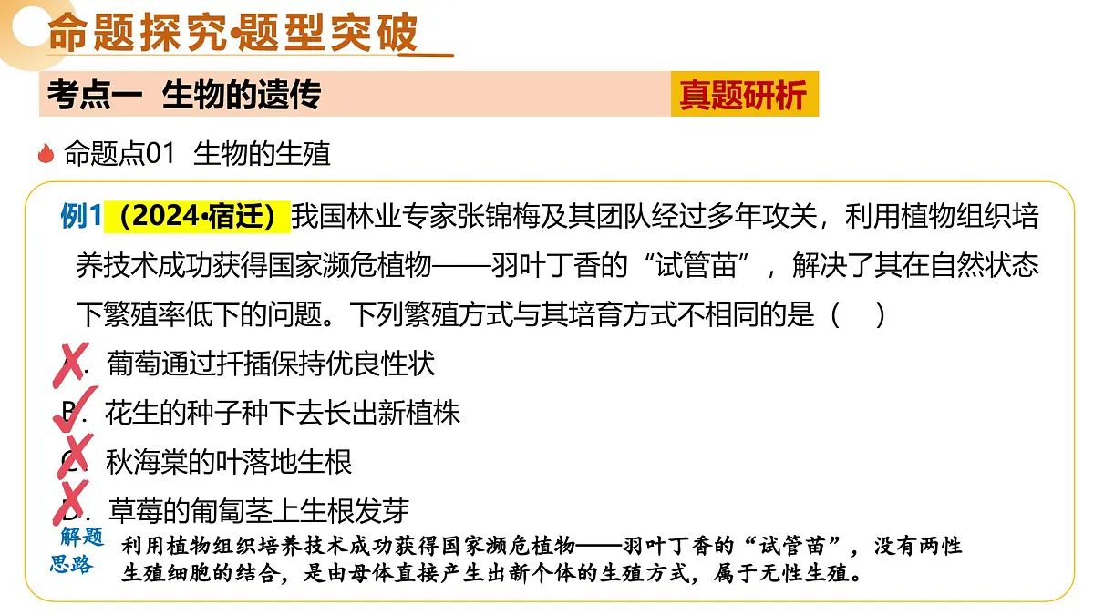 主题六 遗传与进化（二轮突破课件）2025年中考生物二轮复习讲练测（江苏专用）第6页