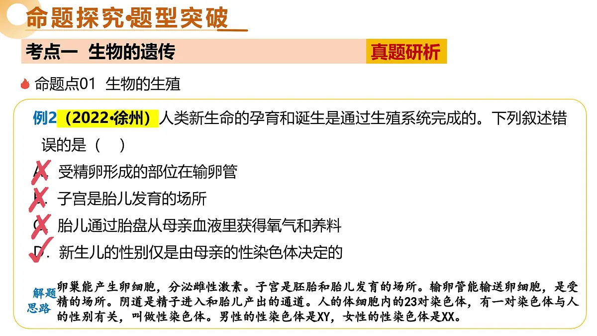 主题六 遗传与进化（二轮突破课件）2025年中考生物二轮复习讲练测（江苏专用）第7页
