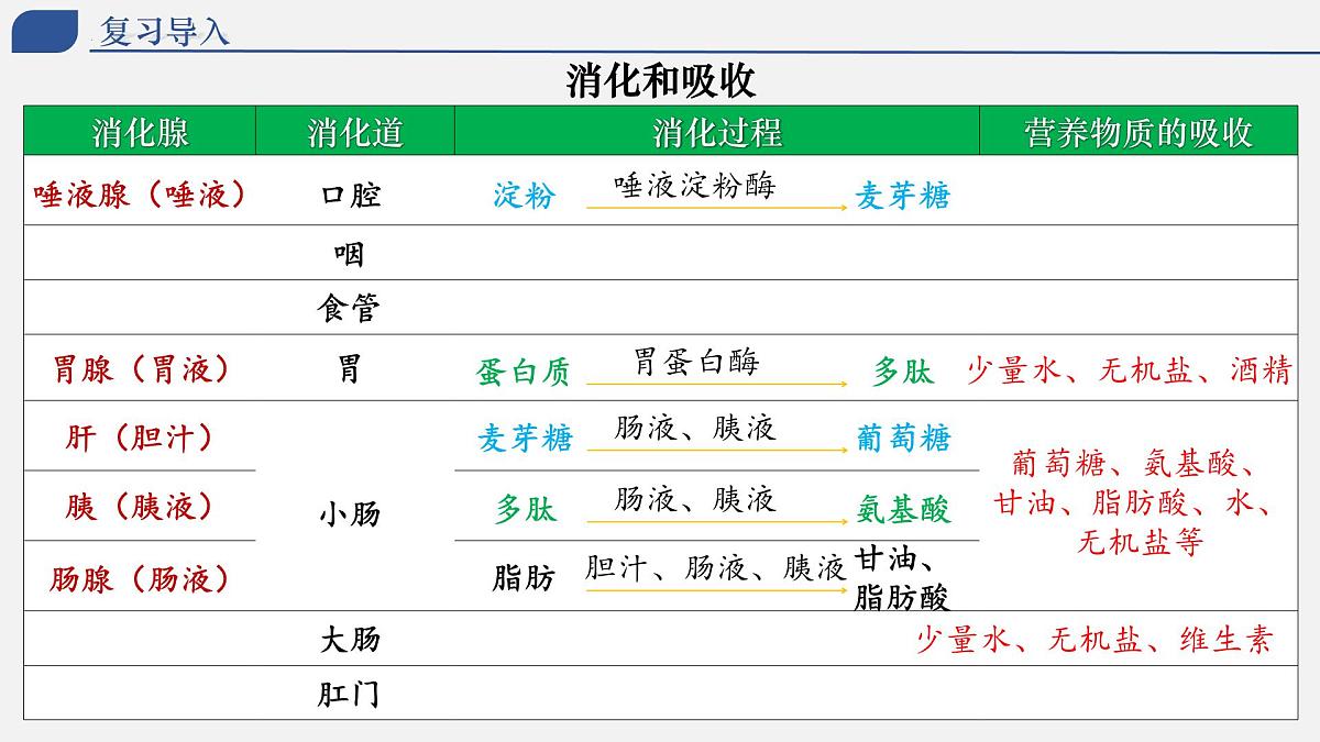 4.2.3 合理营养与食品安全 2025学年七年级生物下册同步教学精美课件（人教版2024）第1页