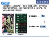 10.1 植物的營養(yǎng)器官（第1課時）（課件） 2025學(xué)年七年級生物下冊 蘇教版