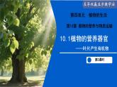 10.1 植物的營養(yǎng)器官（第2課時）（課件）2025學(xué)年七年級生物下冊蘇教版