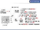 10.1 植物的營養(yǎng)器官（第2課時）（課件）2025學(xué)年七年級生物下冊蘇教版