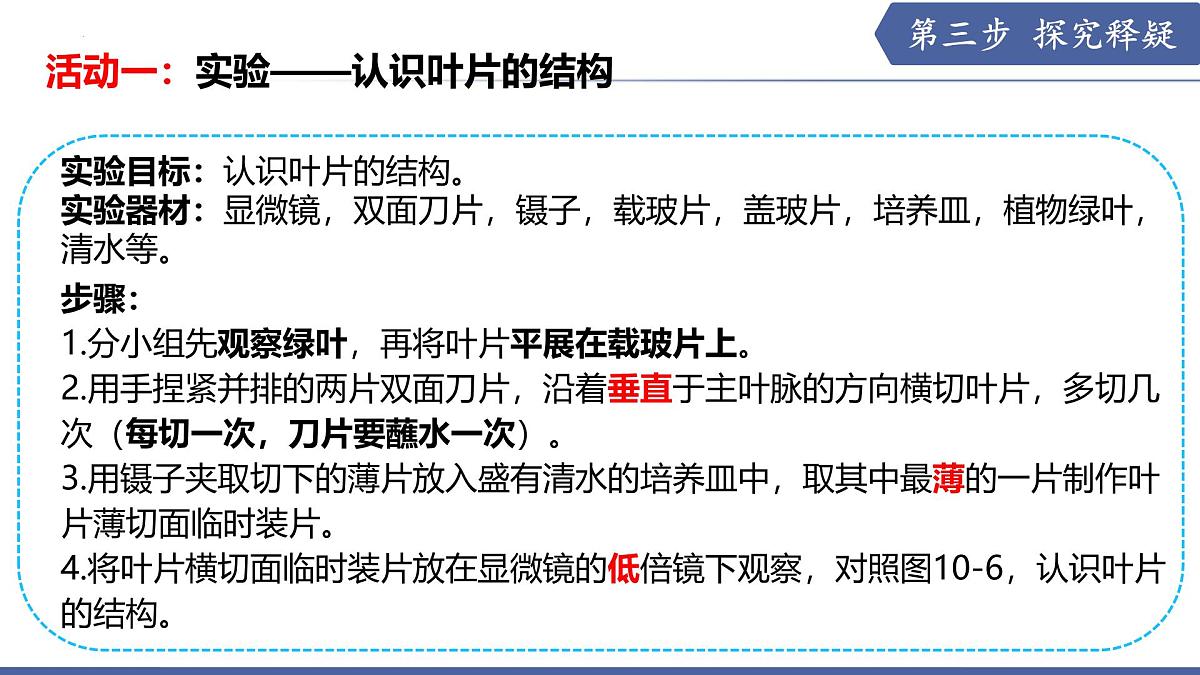 10.1 植物的营养器官（第2课时）（课件）2025学年七年级生物下册苏教版第6页