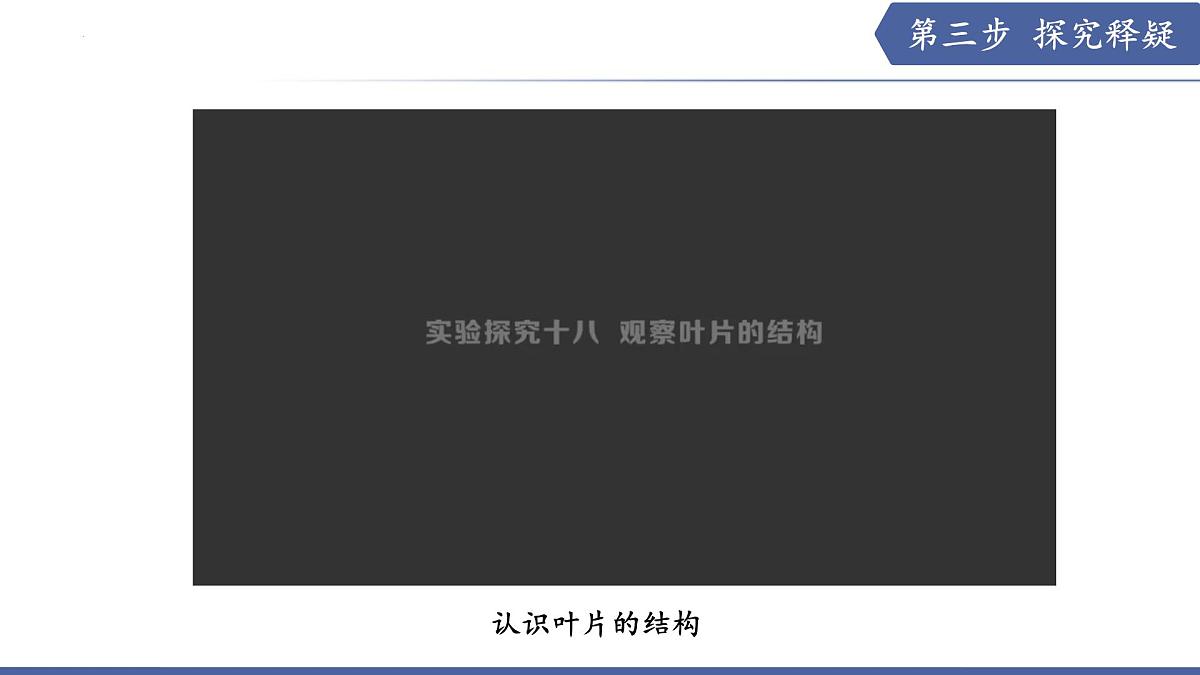 10.1 植物的营养器官（第2课时）（课件）2025学年七年级生物下册苏教版第7页