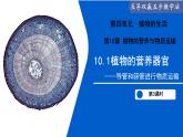10.1 植物的營養(yǎng)器官（第3課時）（課件）2025學(xué)年七年級生物下冊蘇教版