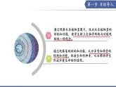 10.1 植物的營養(yǎng)器官（第3課時）（課件）2025學(xué)年七年級生物下冊蘇教版