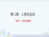 11.2 人體的骨骼肌 2025學(xué)年七年級(jí)生物下冊(cè)北師大版課件