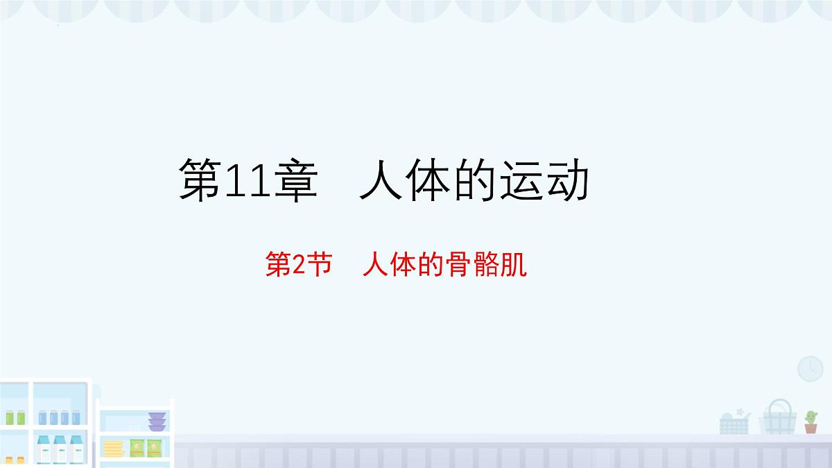 11.2 人体的骨骼肌 2025学年七年级生物下册北师大版课件第1页