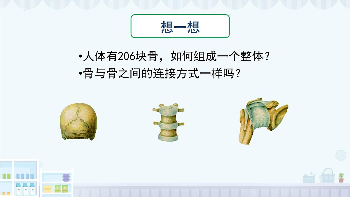 11.2 人体的骨骼肌 2025学年七年级生物下册北师大版课件第3页