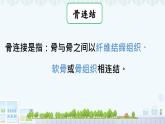 11.2 人體的骨骼肌 2025學(xué)年七年級(jí)生物下冊(cè)北師大版課件
