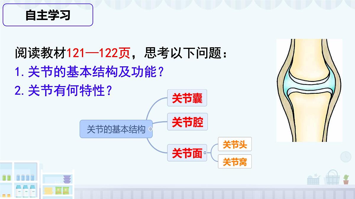 11.2 人体的骨骼肌 2025学年七年级生物下册北师大版课件第7页