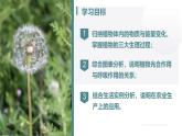第三單元 第二章總復(fù)習(xí)（植物的三大生理作用）2025學(xué)年七年級(jí)下冊生物課件人教版