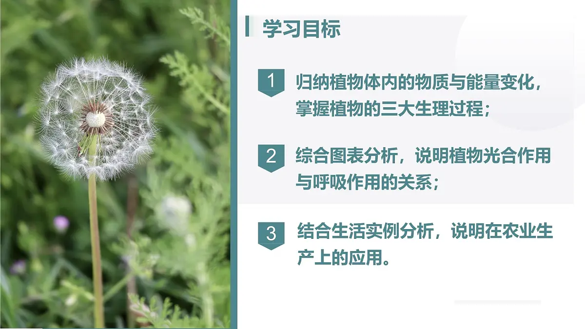 第三单元 第二章总复习（植物的三大生理作用）2025学年七年级下册生物课件人教版第3页