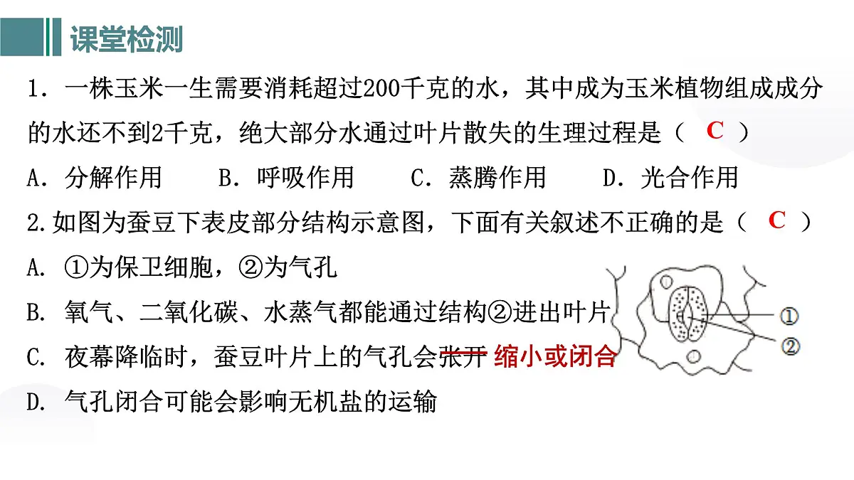 第三单元 第二章总复习（植物的三大生理作用）2025学年七年级下册生物课件人教版第6页