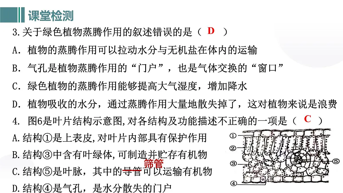 第三单元 第二章总复习（植物的三大生理作用）2025学年七年级下册生物课件人教版第7页