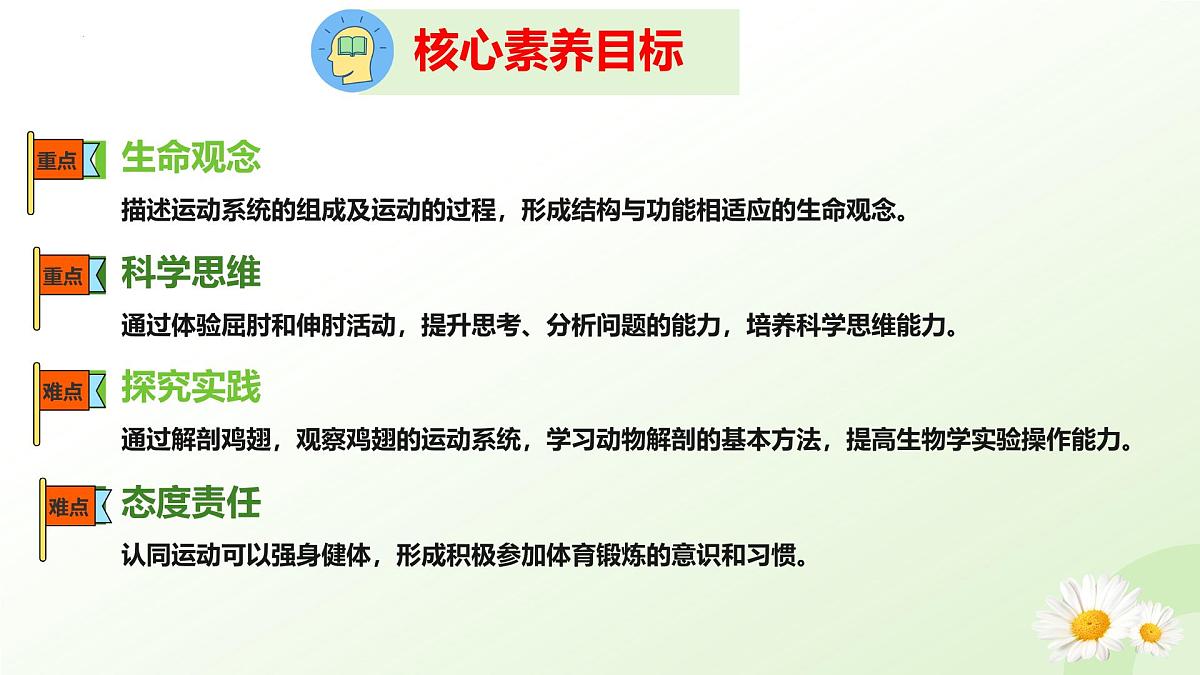 3.5.4 运动的完成 2025学年七年级生物下册 冀少版2024 课件第3页