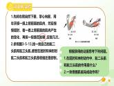 3.5.4 運(yùn)動(dòng)的完成 2025學(xué)年七年級(jí)生物下冊(cè) 冀少版2024 課件