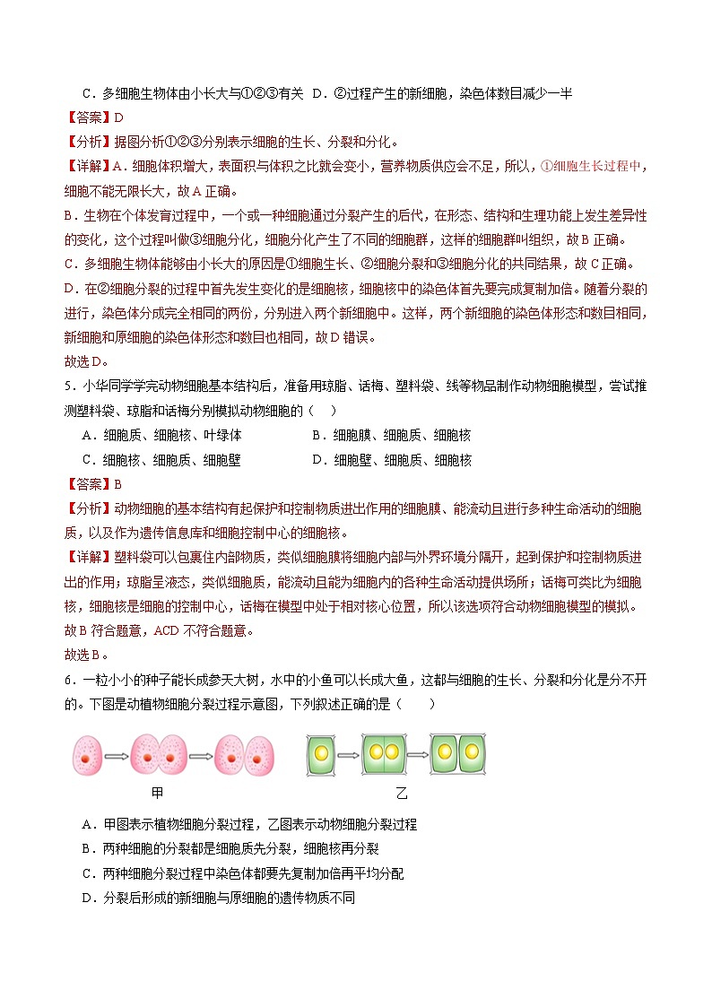 2025年中考第二次模拟考试卷：生物（广东省卷）（解析版）第3页