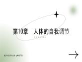 第10章 單元復(fù)習(xí)與測(cè)試 2025學(xué)年七年級(jí)生物下冊(cè)北師大版課件