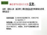 第10章 單元復(fù)習(xí)與測(cè)試 2025學(xué)年七年級(jí)生物下冊(cè)北師大版課件