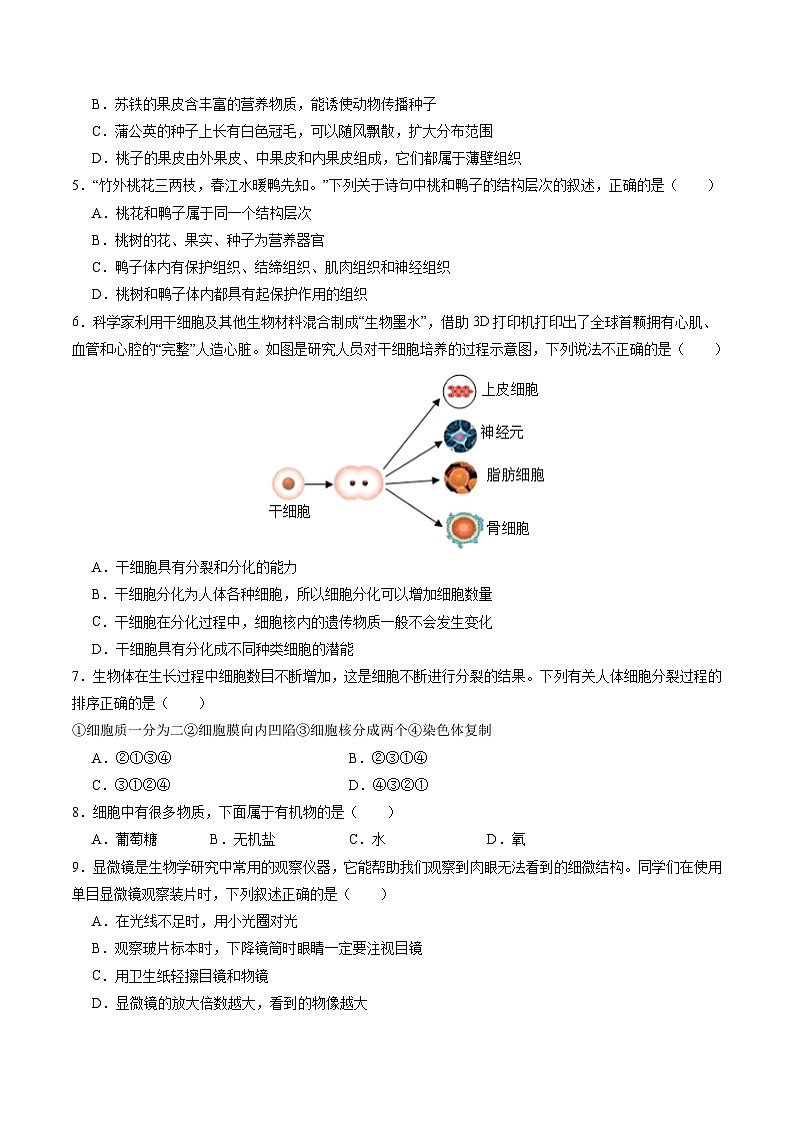 2025年中考第二次模拟考试卷：生物（深圳卷）（考试版）第2页