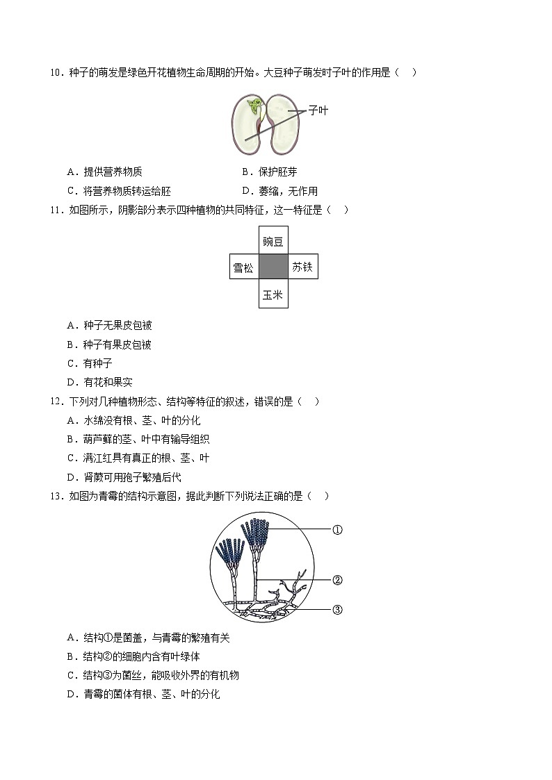 2025年中考第二次模拟考试卷：生物（深圳卷）（考试版）第3页