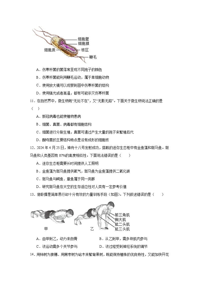 2025年中考第二次模拟考试卷：生物（河南卷）考试版第3页