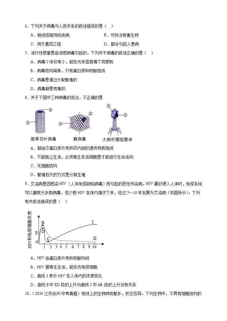 2024-2025学年七年级生物下册第9章《微生物》检测卷（含答案）（苏科版2024新教材）第2页