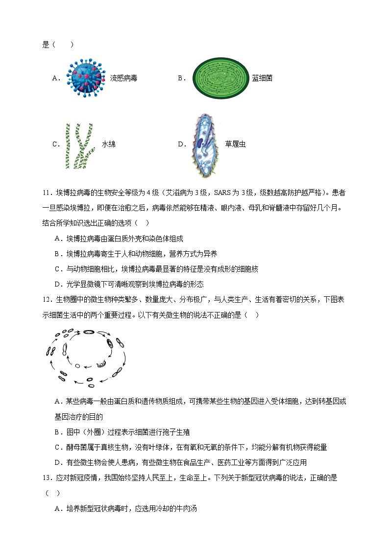 2024-2025学年七年级生物下册第9章《微生物》检测卷（含答案）（苏科版2024新教材）第3页