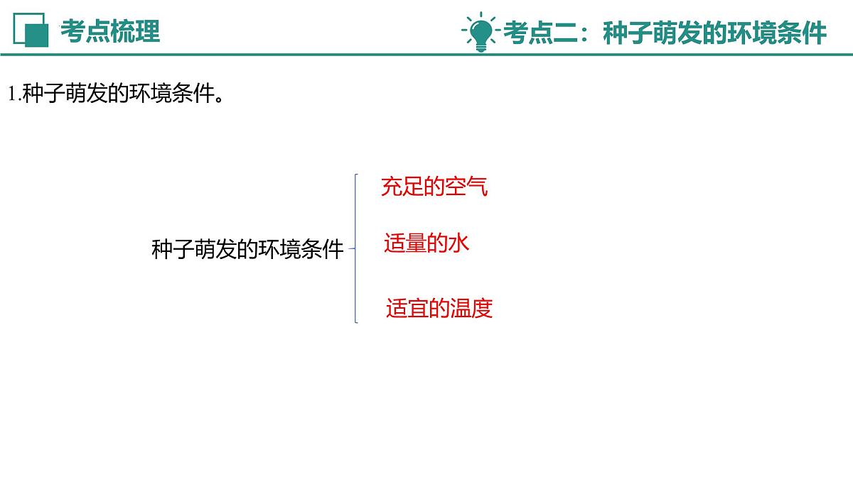 【复习课件】专题02 绿色开花植物的生命周期 2025学年七年级生物下学期期中考点大串讲教版第6页