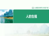 4.1.1 人的生殖 課件 2025學(xué)年人教版生物七年級下冊