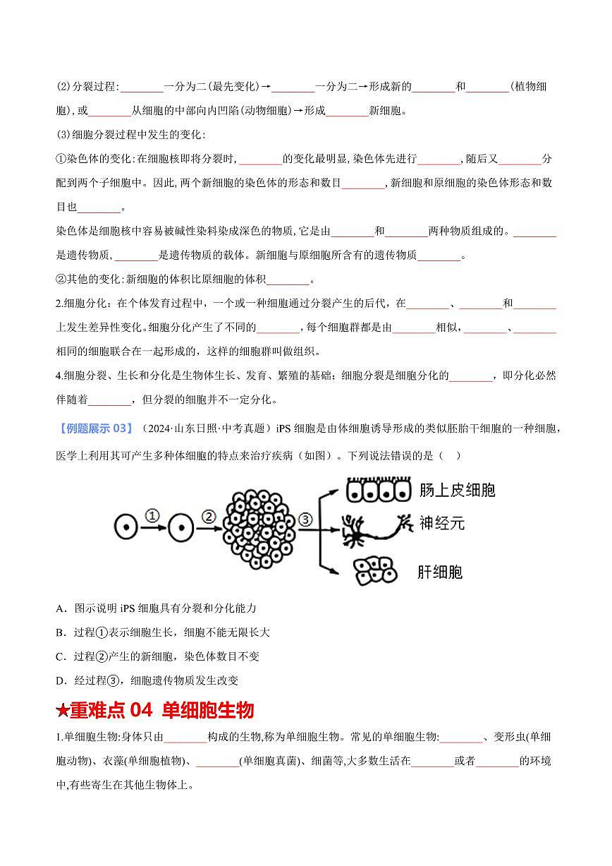 重难点03 生物体的结构层次（原卷版）2025年中考生物【热点·重点·难点】专练（全国通用）第3页