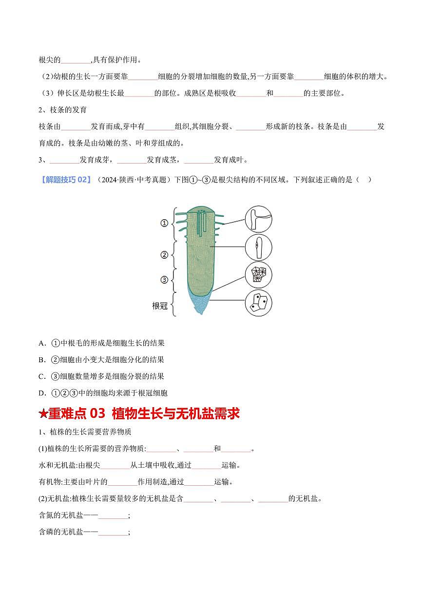 重难点05 绿色开花植物的一生（原卷版）2025年中考生物【热点·重点·难点】专练（全国通用）第3页