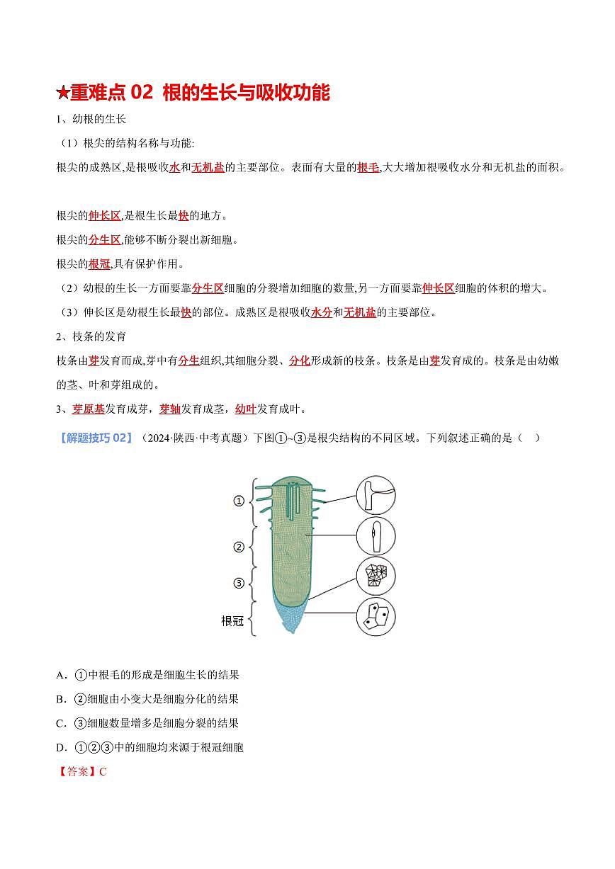 重难点05 绿色开花植物的一生（解析版）2025年中考生物【热点·重点·难点】专练（全国通用）第3页