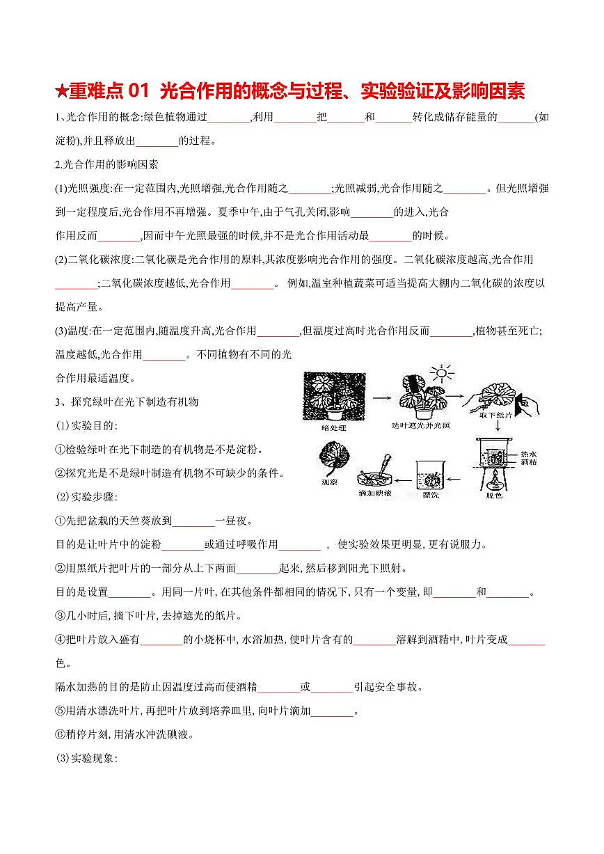 重难点06 绿色植物的三大作用（原卷版）2025年中考生物【热点·重点·难点】专练（全国通用）第2页