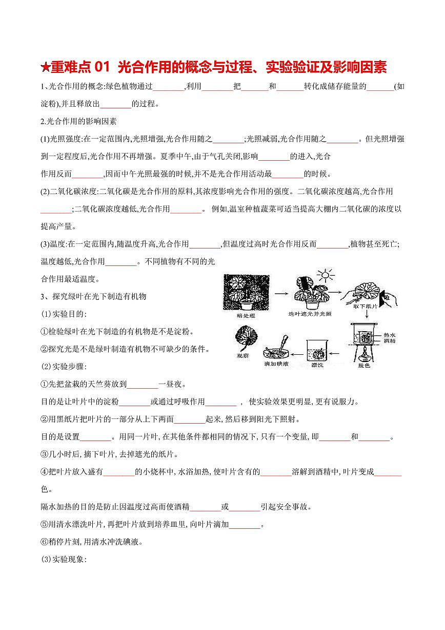重难点06 绿色植物的三大作用（原卷版）2025年中考生物【热点·重点·难点】专练（全国通用）第2页