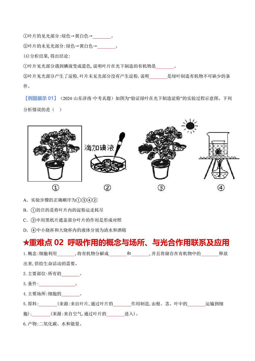 重难点06 绿色植物的三大作用（原卷版）2025年中考生物【热点·重点·难点】专练（全国通用）第3页