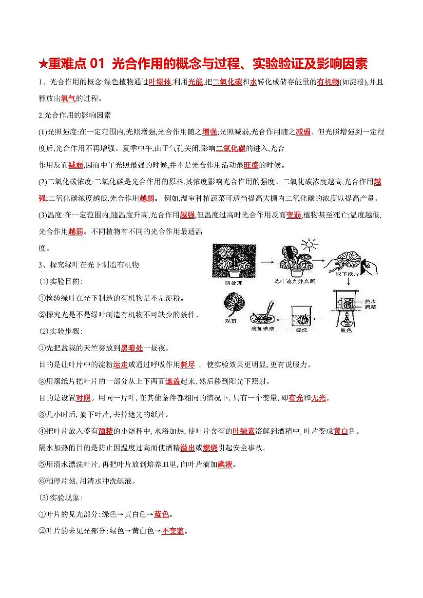 重难点06 绿色植物的三大作用（解析版）2025年中考生物【热点·重点·难点】专练（全国通用）第2页