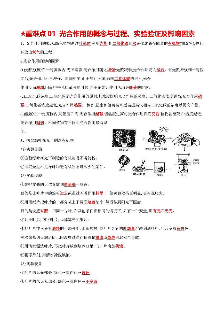 重难点06 绿色植物的三大作用（解析版）2025年中考生物【热点·重点·难点】专练（全国通用）第2页