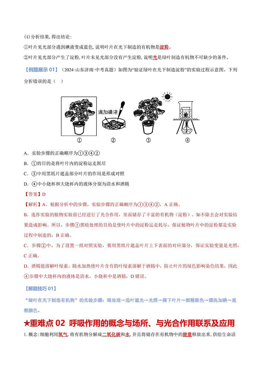 重难点06 绿色植物的三大作用（解析版）2025年中考生物【热点·重点·难点】专练（全国通用）第3页